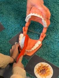 Zahnarztbesuch bei der Klasse 1 in Jedesheim