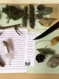 Ausflug in den Jedesheimer Wald