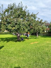 Besuch auf der Streuobstwiese